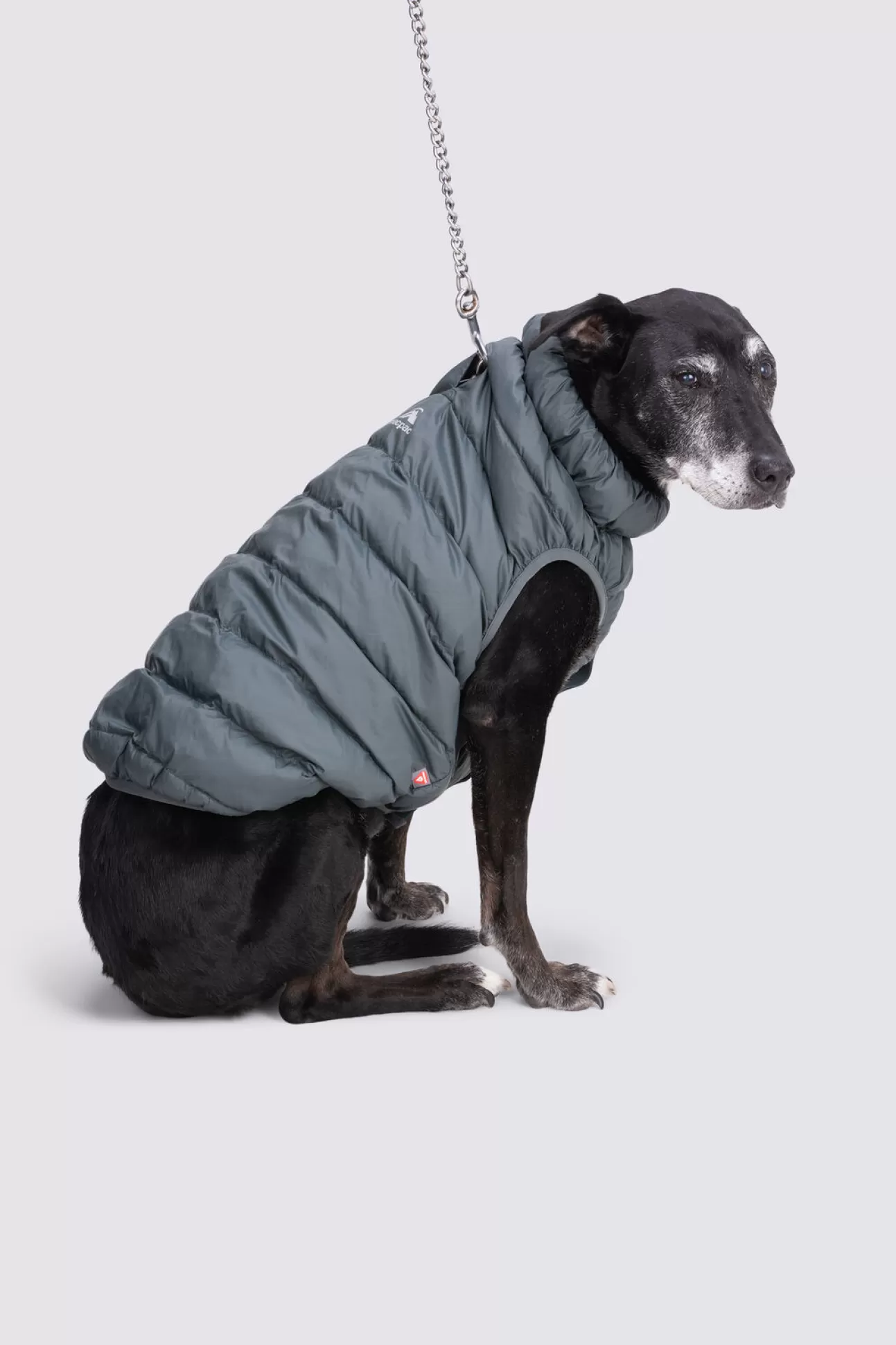 Dog Coat— L>Macpac Best